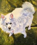 The image for Paint Your Pet!